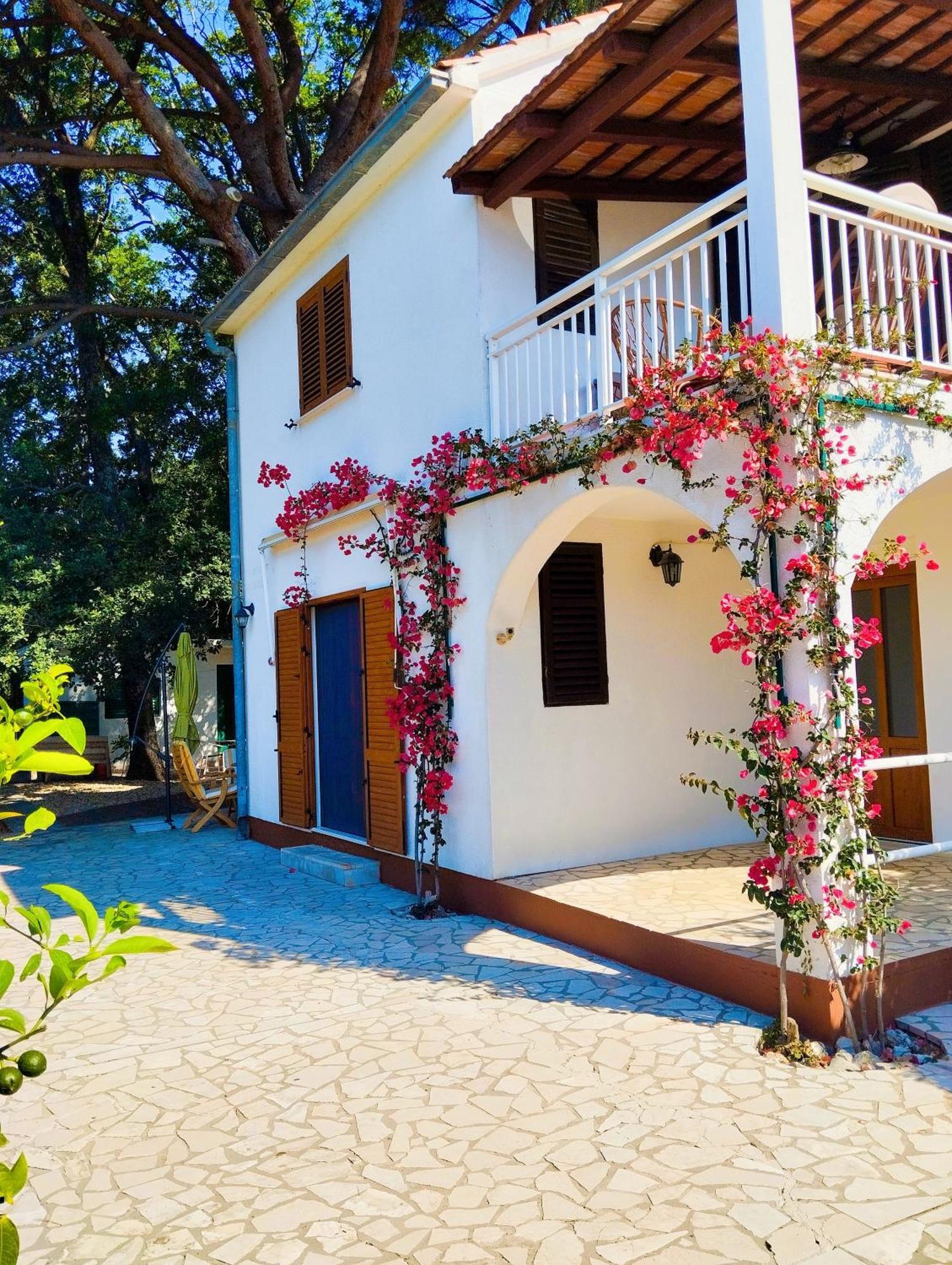 Holiday House Pinus Pinea วิกานย์ ภายนอก รูปภาพ