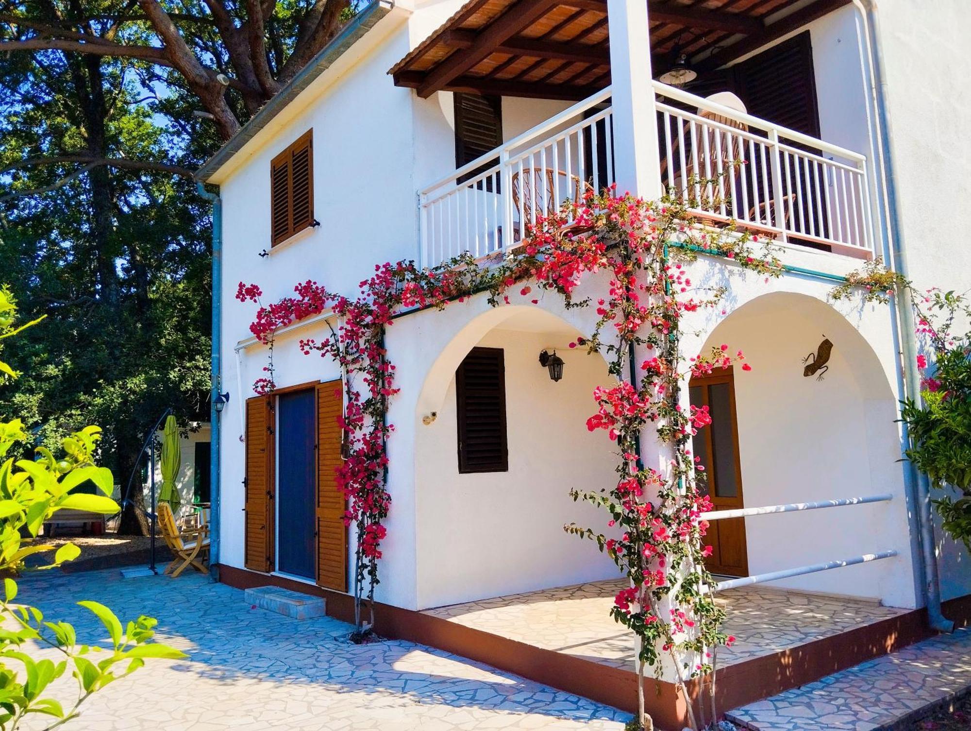 Holiday House Pinus Pinea วิกานย์ ภายนอก รูปภาพ