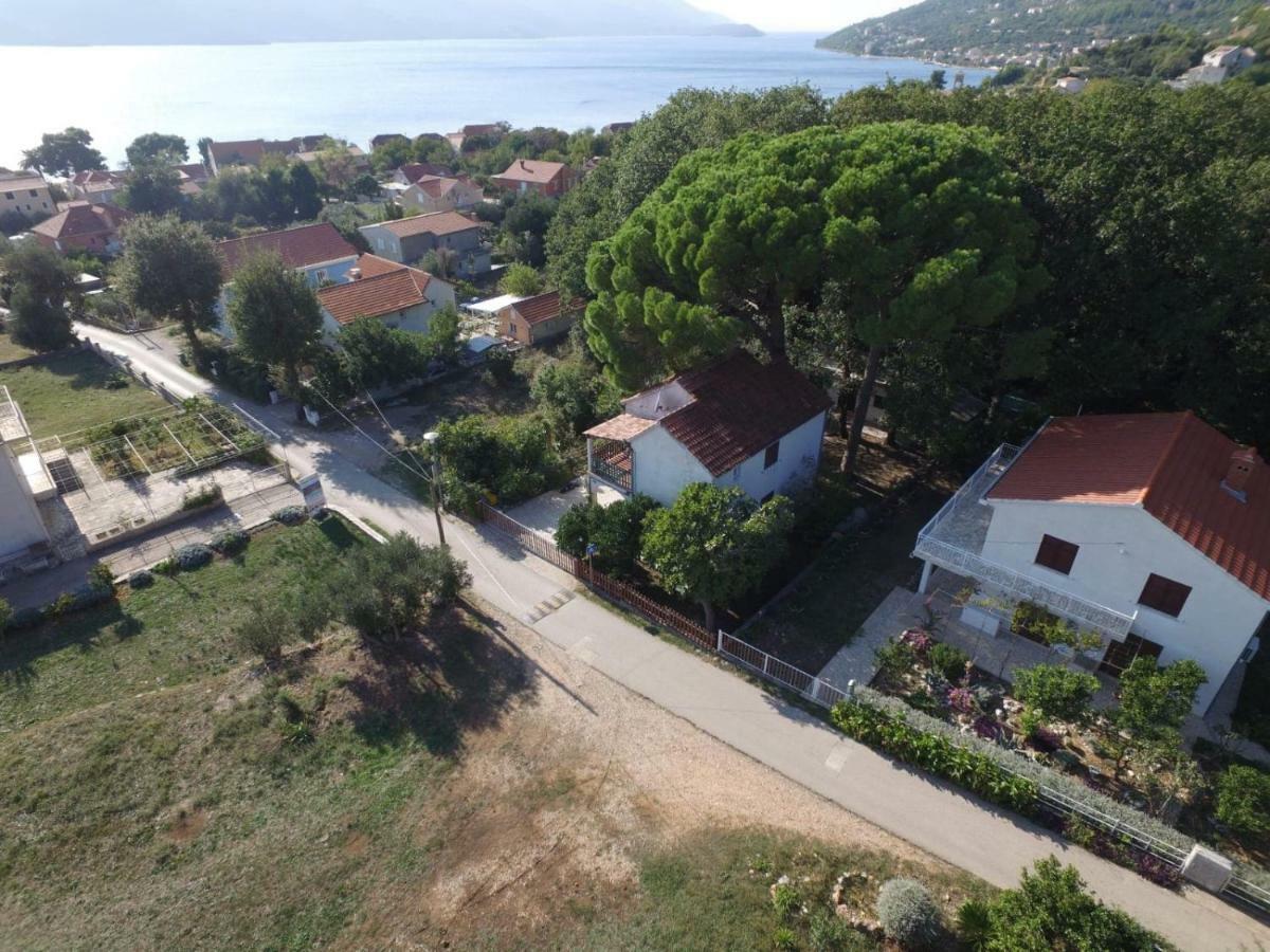 Holiday House Pinus Pinea วิกานย์ ภายนอก รูปภาพ